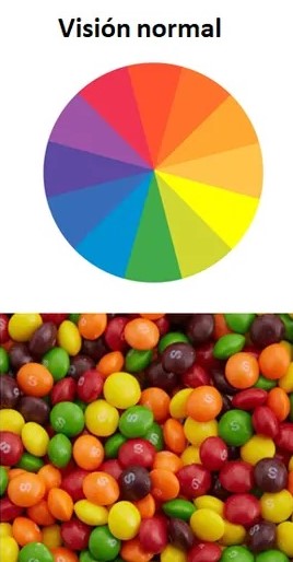 Imagen Original de referencia